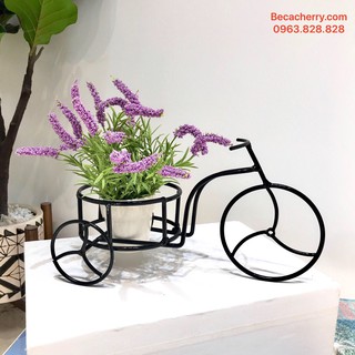 Giá Đỡ Bể Cá Mini Xe Đạp