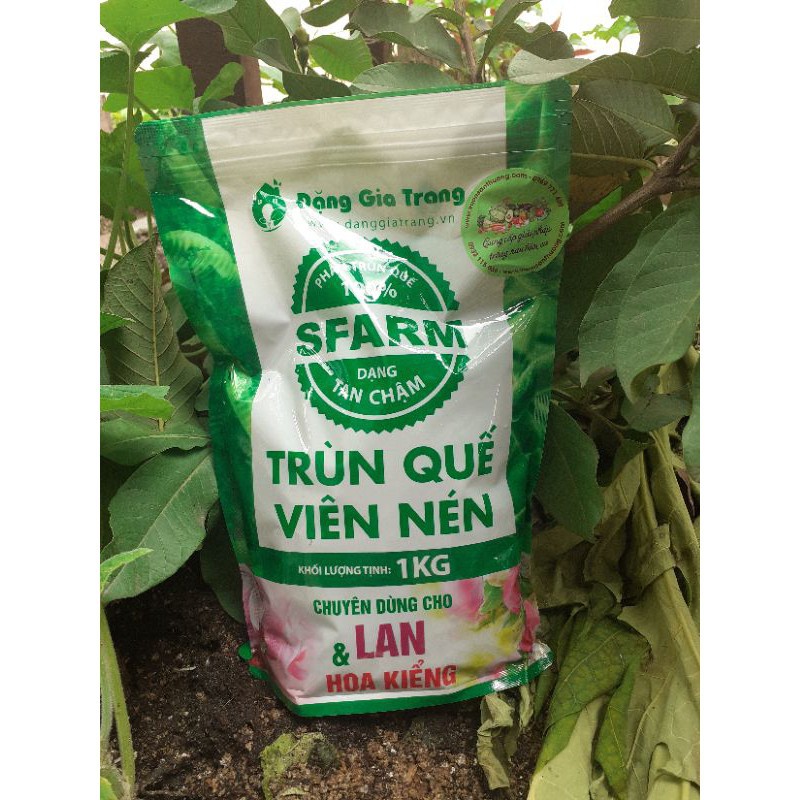 Phân Trùn Quế Viên Nén SFARM Đặng Gia Trang Gói 1Kg - Phân trùn quế cho lan