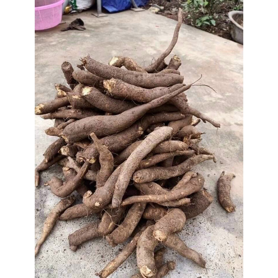 1kg Củ Gai Tươi , - An Thai ( Củ Tươi Mới Đào )