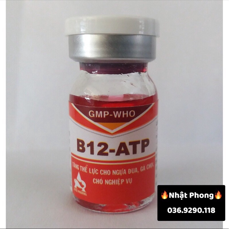 B12-ATP - (Tăng thể lực ngựa đua, gà chọi, chó nghiệp vụ)