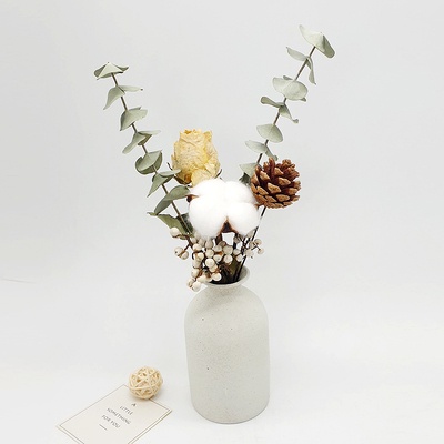 ❤️Hoa Khô - Cành Lá Khuynh Diệp Khô Eucalyptus ❤️ Decor trang trí, phụ kiện chụp ảnh
