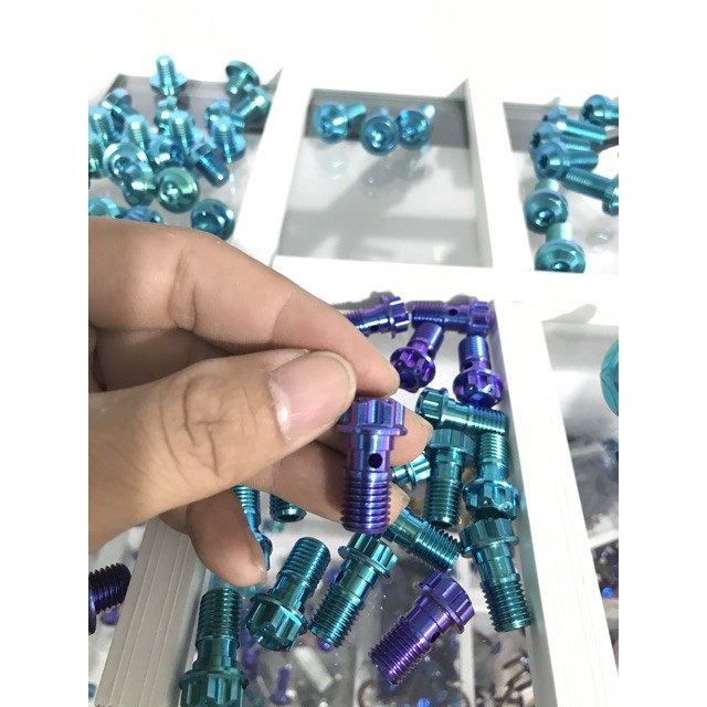 Ốc Heo Dầu Titan Gr5 Gắn Thông Dụng Các Loại Xe