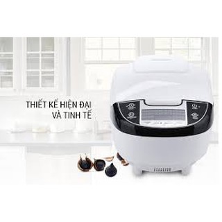 Máy làm tỏi đen đa năng Perfect PF-MC108