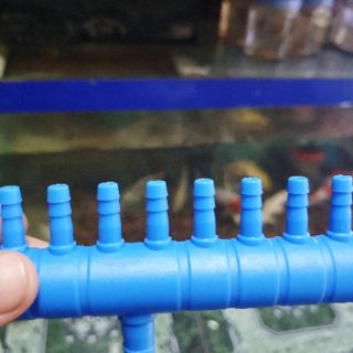 THANH CHIA MÁY OXY HỒ CÁ RA 16 ĐẦU