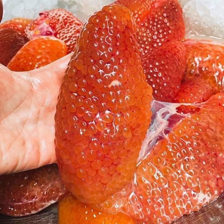 Trứng cá Ngát 500gr