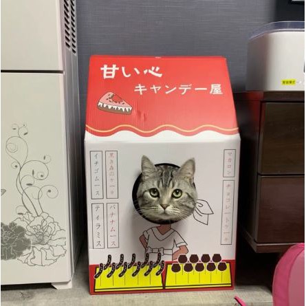 CatTree. Cat Box. Nhà cào móng. Đồ chơi cho mèo  𝑭𝑹𝑬𝑬𝑺𝑯𝑰𝑷