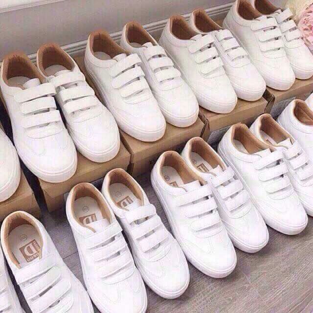 Giày thể thao(compa minh hằng)