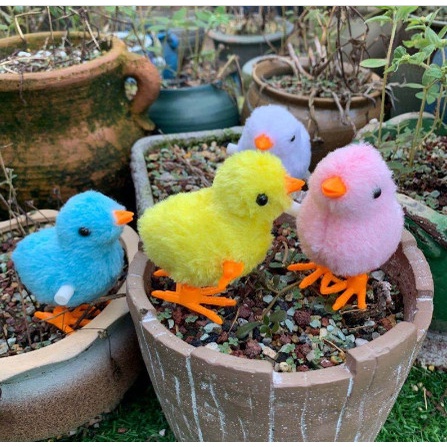 Đồ chơi gà con vặn cót - Gà nhảy dây cót vui nhộn