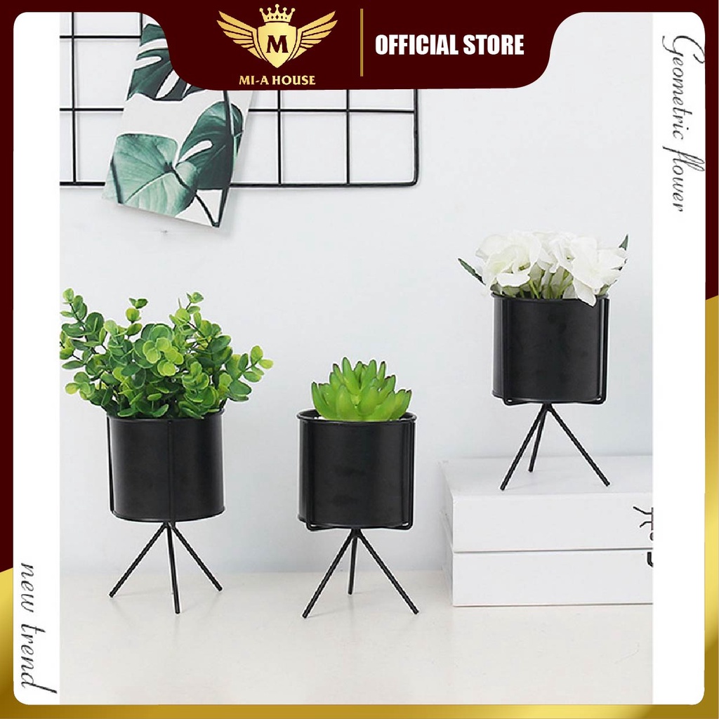 Chậu trồng cây sen đá, xương rồng, cẩm nhung – Hộp trồng cây mini để bàn