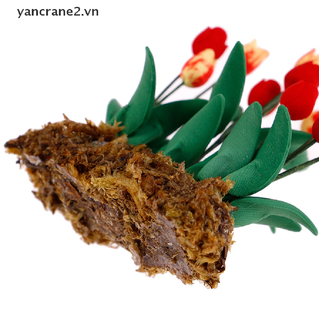1 Đồ trang trí Chậu Hoa Tulip Màu Xanh Lá Tỷ Lệ 1: 12 Dùng Trang Trí Tiểu Cảnh / Nhà Búp Bê