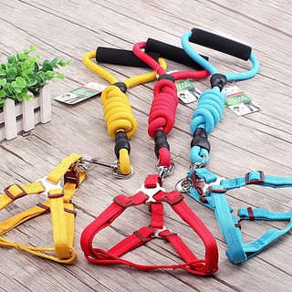 Dây dắt 3 in 1 ( Dây dắt, Vòng cổ, Đai bụng)