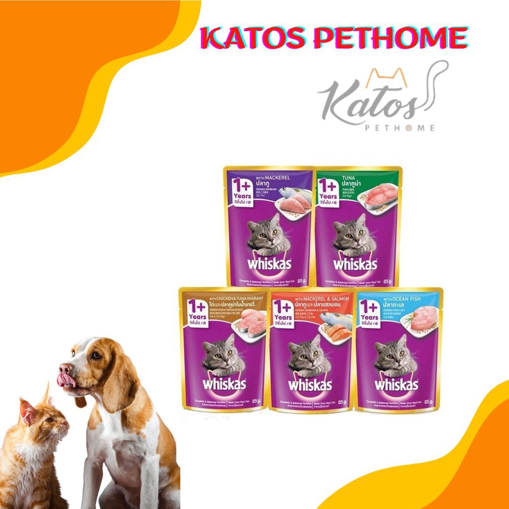 Combo 24 whiskas cho mèo