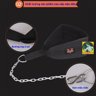 Đai Lưng Gánh Tạ Tập Gym