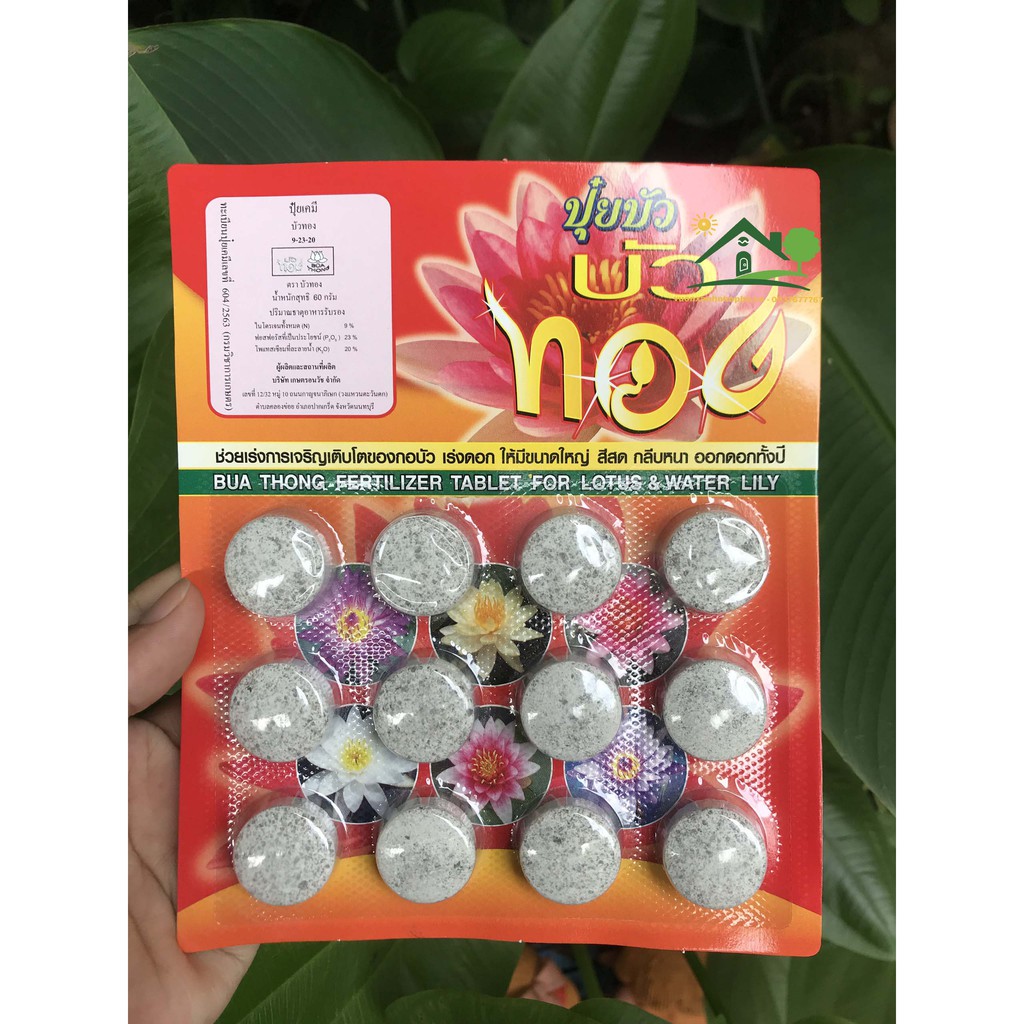 Phân viên nén hữu cơ Bua Thong Thailand chuyên bón cây sen, súng và các loại thủy sinh khác vỉ 12 viên, lọ 50 viên