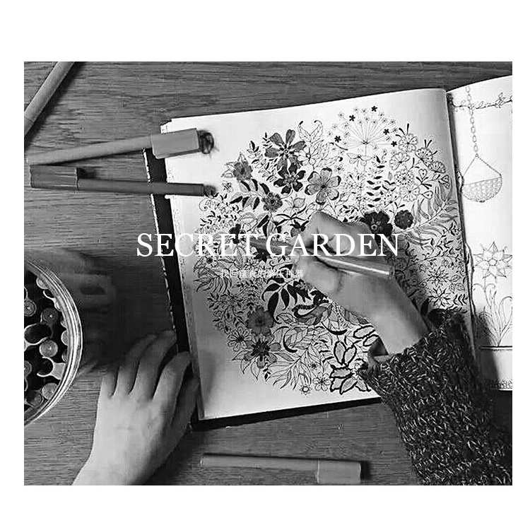 2 Cuốn Sách Tô Màu Thủ Công Hình Khu Vườn Bí Mật Dành Cho Người Lớn