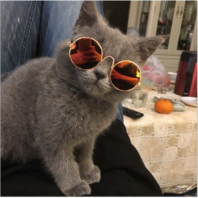 Kính mắt cho Quàng Thượng