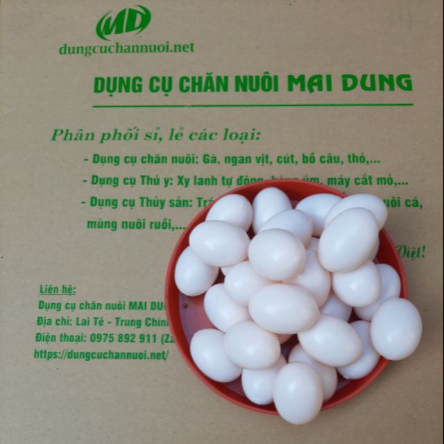 Trứng bồ câu nhựa - giả - combo 50 quả