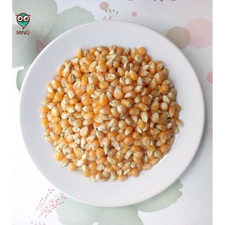 1 Kg hạt bắp mỹ khô làm bắp rang nở hình nấm