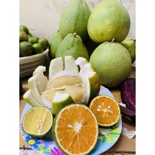 BƯỞI 5 ROI [trái 1kg đến 1.3kg]