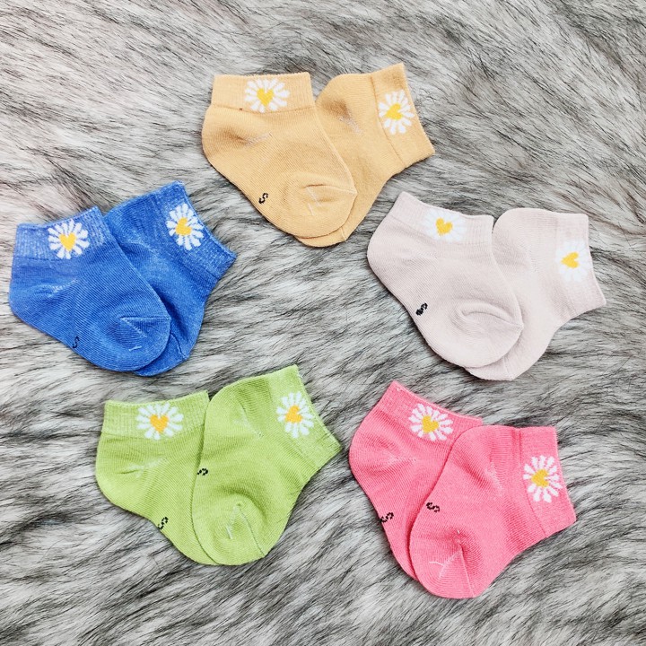 Set 5 đôi tất vớ cotton cổ thấp cho bé 0-2 tuổi chất nhẹ mát 5 màu phối hình hoa cúc hottrend đáng yêu Baby-S – ST014