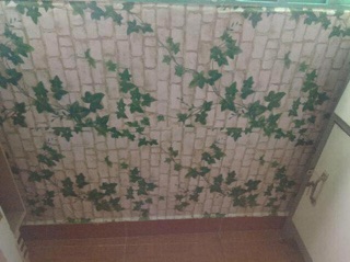 Decal dán tường dạng cuộn có keo sẵn