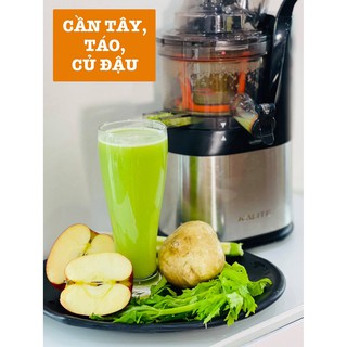 Máy ép trái cây chậm cao cấp KALITE KL 565