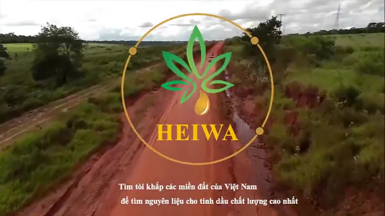 Tinh dầu treo xe Sả chanh 10ML thương hiệu HEIWA nhập khẩu Ấn Độ | BigBuy360 - bigbuy360.vn