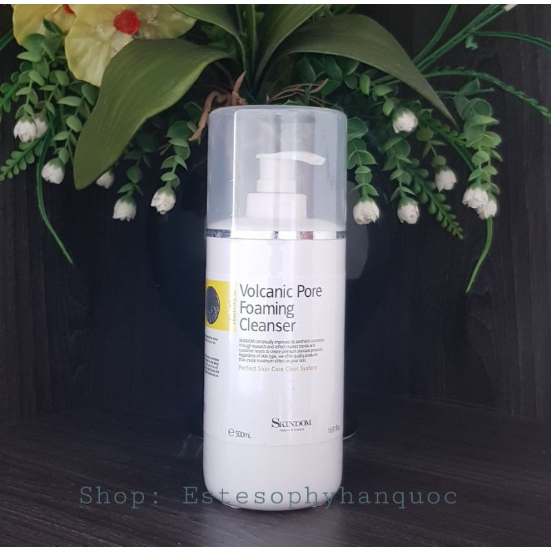 Sữa rửa mặt tạo bọt Skindom 500ml