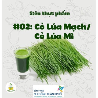 Hạt giống cỏ lúa mì hữu cơ 1kg - Organic