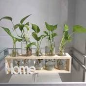 SET 5 LỌ THỦY TINH CẮM HOA KÈM KỆ GỖ HOME TẠO KHÔNG GIAN MỚI NGÔI NHÀ BẠN THÊM SANG TRỌNG