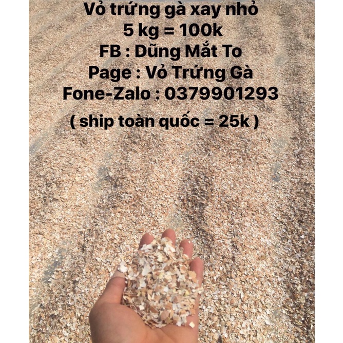 vỏ trứng gà 5kg