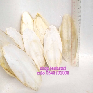 Nang mực thay cho thạch cao phi làm thực phẩm