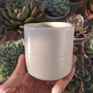 Chậu sứ trồng sen đá | FREESHIP