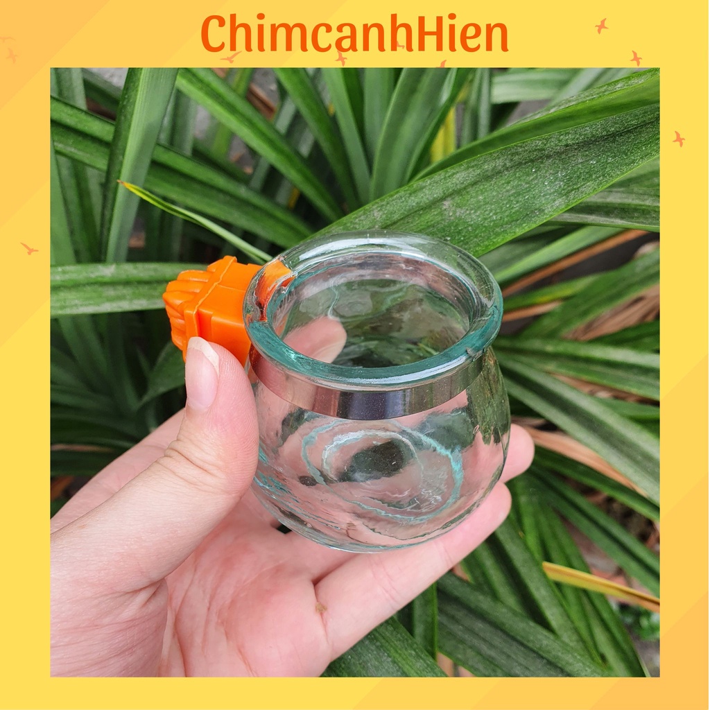 Cóng uống nước cho chim chào mào, chim khướu chất liệu thủy tinh