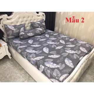 [GIÁ RẺ NHẤT] Drap thun Hàn Quốc mẫu lá cực đẹp