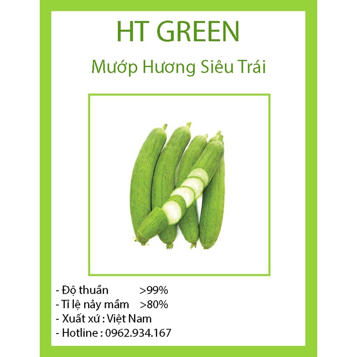 Hạt Giống Mướp Hương