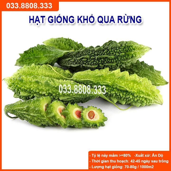 HẠT GIỐNG KHỔ QUA RỪNG  CHẤT LƯỢNG CAO, GIỐNG CHUẨN