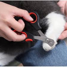 Kìm bấm/ Kéo cắt móng dành cho chó mèo nhỏ màu xanh ghi ( tặng kèm cây giũa móng) tiện lỡi, dễ dàng sử dụng, an toàn
