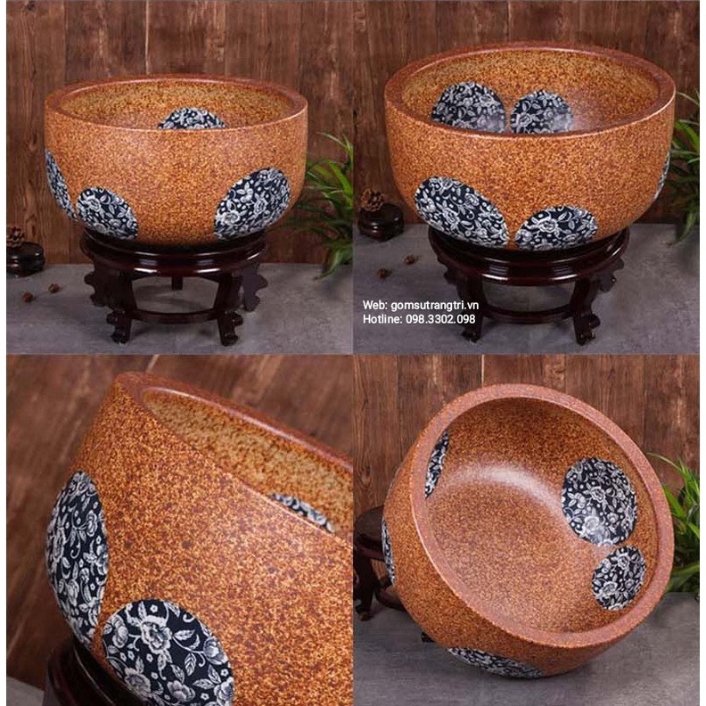 ANG SỨ THẢ CÁ THẢ HOA, TRỒNG SEN CẢNH