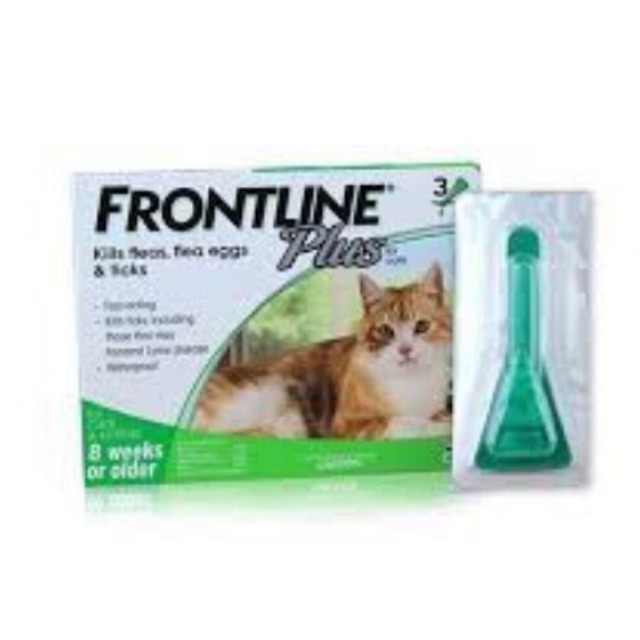 Nhỏ gáy Frontline Plus cho mèo an toàn cho cả mèo nhỏ