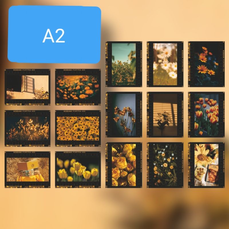 Set 10 tấm sticker nhãn dán hình cuộn phim phong cách phong cảnh thiên nhiên hoa cỏ trang trí sổ tay diy kiều diễm my