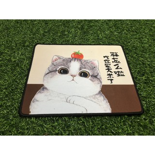 Miếng Lót Chuột Cao Cấp