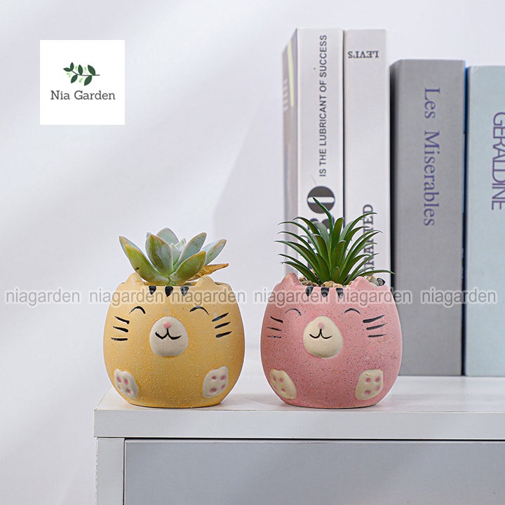 Chậu để bàn mèo trồng sen đá mini xương rồng cây cảnh trang trí góc họp tập làm việc Nia Garden N4