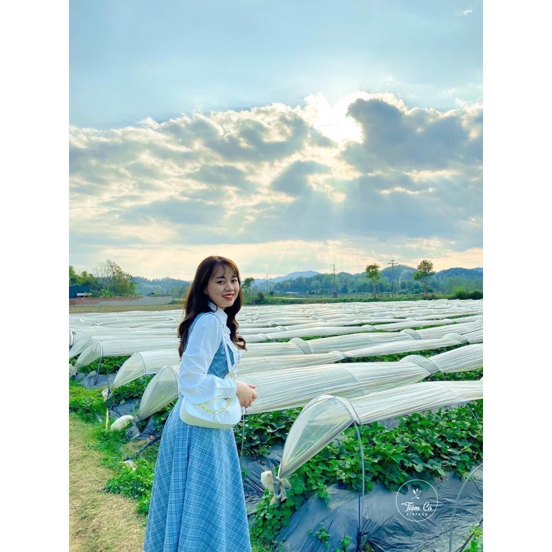 Váy tiểu thư có sẵn