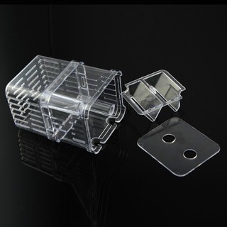 [RẺ VÔ ĐỊCH] LỒNG ĐẺ MICA CHO CÁ THỦY SINH