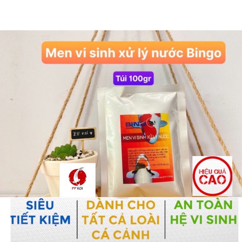 Men vi sinh xử lý nước Bingo - Gói 100gram