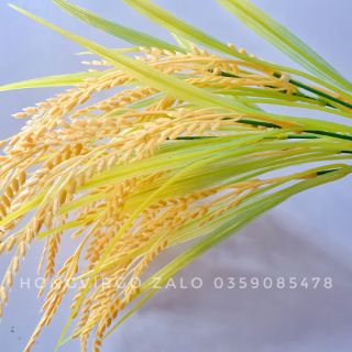 👉 Bông Lúa Giả Trang Trí dài 40cm 7 nhánh