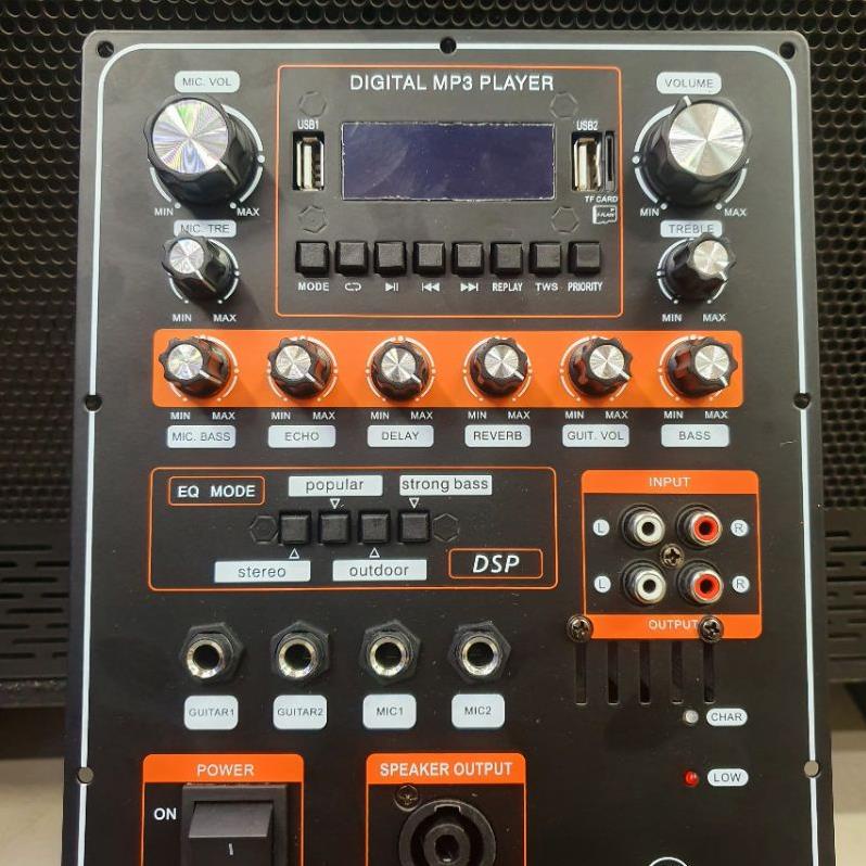 RE NHAT- Bo Mạch Loa Kéo DSP Stereo Echo Reverb Nguồn 36V Đôi 4 Tấc Đôi 5 Tấc Chống Hú Tốt Nhất Loa Kéo HOT