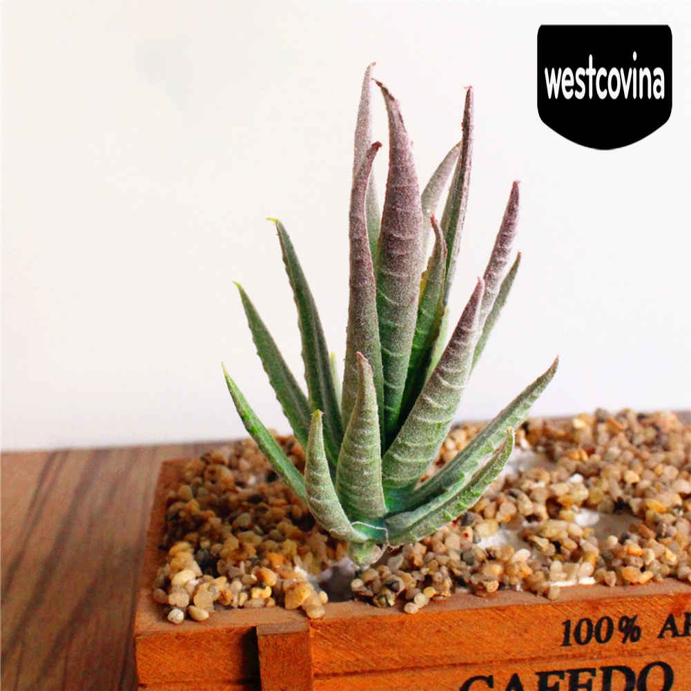 [Hot]☀ Chậu Cây Bonsai Mini Nhân Tạo Để Bàn Trang Trí Tiệc Cưới / Nội Thất Nhà