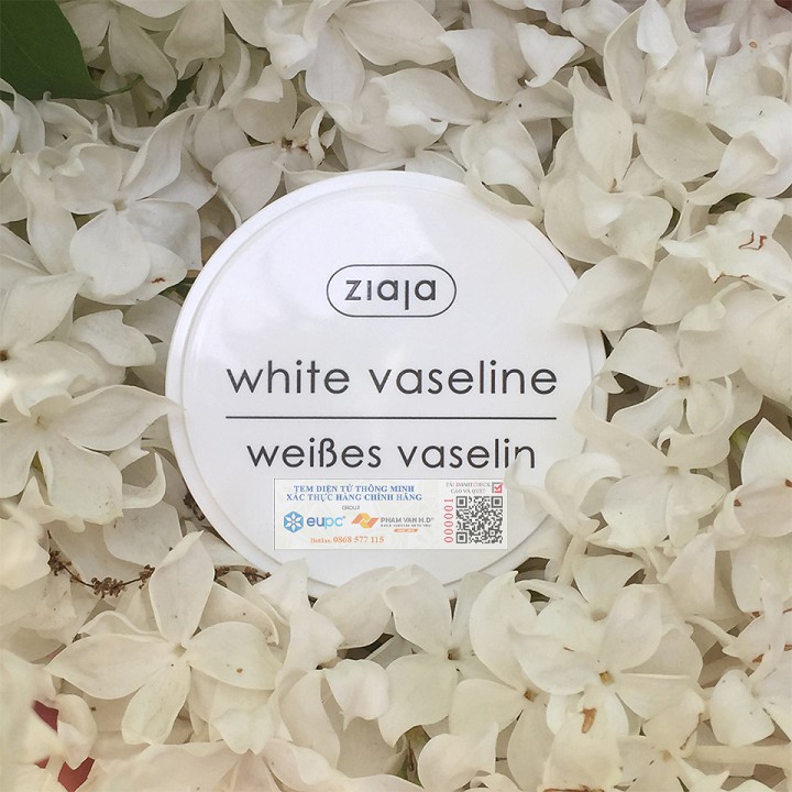 Ziaja White Vaseline 30ml - Sáp Vaseline dưỡng tái tạo da | BigBuy360 - bigbuy360.vn